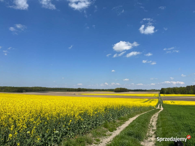 Syndyk sprzeda działki