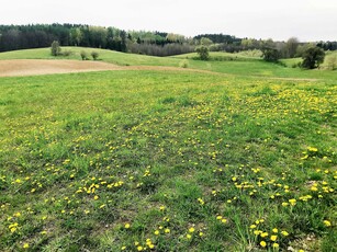 działka 500m od jeziora Inulec, 6 km od Mikołajek