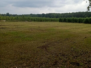 Działka budowlana, ul. Leśna