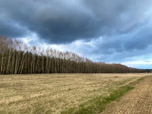 Działka budowlana Żyrardów