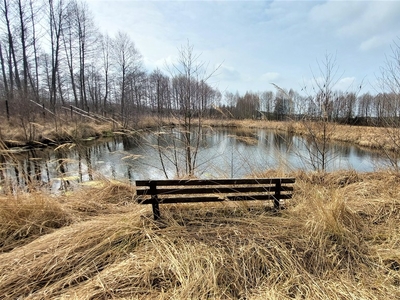 Działka 7400m2- Wierzbica