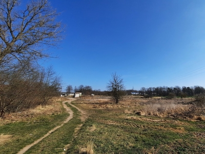 Działka – Bolesławiec, ul. Tadeusza Kościuszki