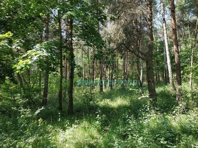 Działka budowlana Czarny Las