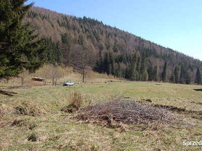 Działka rekreacyjna ok. Śnieżki , Jarkowice Srebrna Dol.