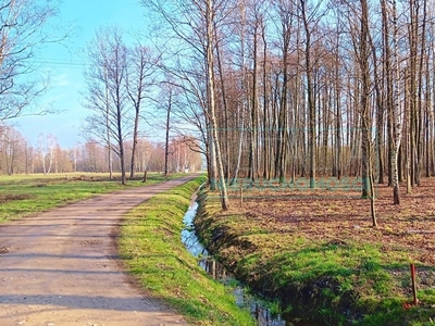 Działka budowlana Międzyborów