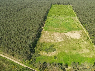 Działka budowlana Krobia