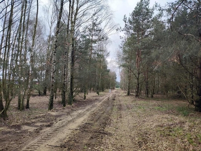 Działka budowlana Skęczniew