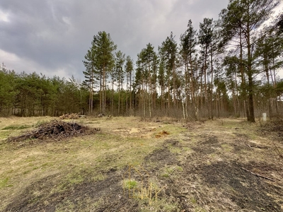 Działka inna Olszewnica Stara, ul. Jutrzenki 25