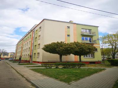 Mieszkanie do wynajęcia 2 pokoje Zduńska Wola, 56 m2, 1 piętro