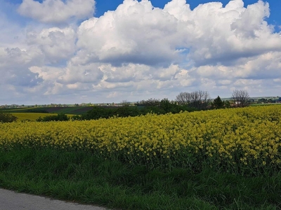 Działka budowlana Przybysławice