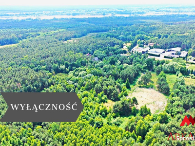 Oferta sprzedaży działki Łęg-Witoszyn 3856m2