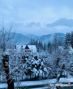 ZAKOPANE Studio w Kościelisku z widokiem na Tatry, bez prowizji!