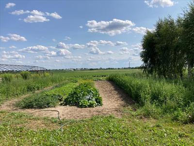 Działka na sprzedaż, Warszawski Zachodni, Umiastów