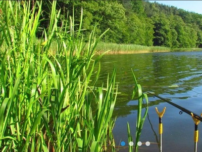 Golubsko-Dobrzyński, Golub-Dobrzyń, Nowogród