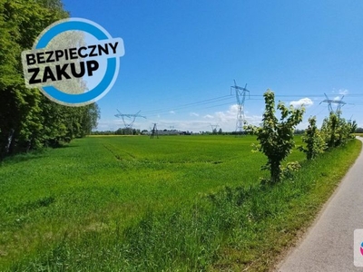 Usługowa, Plac składowe/ MPZP/ - S7