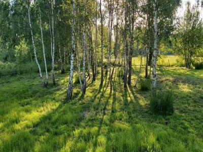 Działka budowlana 3000m2 Radonie k.Grodziska Mazowieckiego