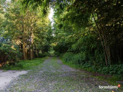 Piękna działka w Halinowie Budziska 2000m2