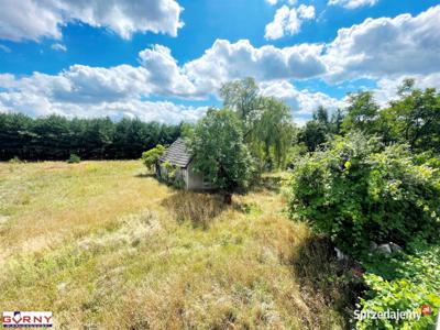 Sprzedaż działki 4600m2 Witów-Kolonia