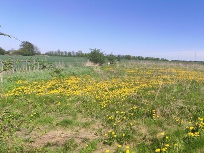 Działka budowlana Miłocin 865m², sprzedaż bezpośrednia