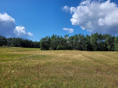 Działka letniskowa Ostrowite / Zdunowice / koło Sulęczyno