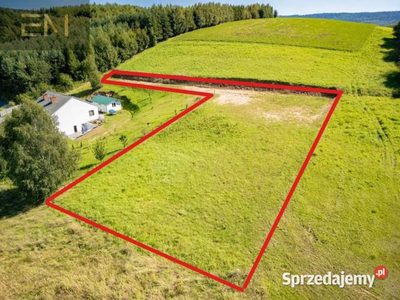 Sprzedam grunt Strzyżów 2300m2