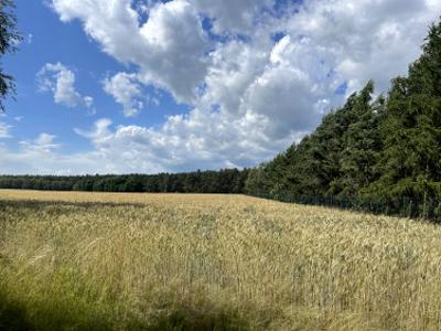 Działka budowlana, ul. Majowa