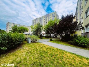 2-pokojowe mieszkanie 38m2 + balkon Bez Prowizji