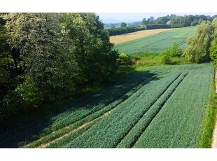 Działka budowlana Sprzedaż Gierałtowice, Polska