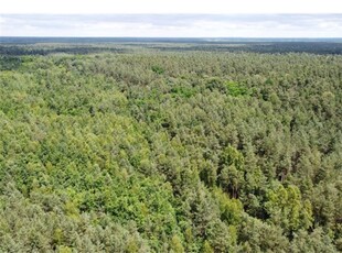 Działka budowlana Sprzedaż Ostrowiec Świętokrzyski, Polska