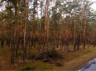 Działka budowlana Sprzedaż Ziewanice, Polska