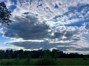 Działka Sprzedaż ChruszczobródPiaski, Polska