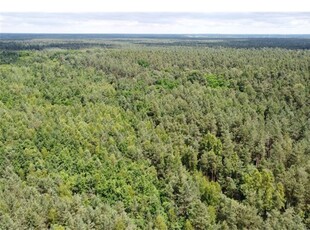 Działka Sprzedaż Ostrowiec Świętokrzyski, Polska