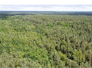 Działka Sprzedaż Ostrowiec Świętokrzyski, Polska