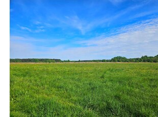 Działka Sprzedaż Zendek, Polska