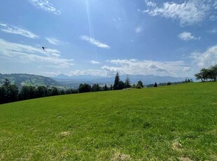 Nieruchomość gruntowa Sprzedaż Biały Dunajec, Polska