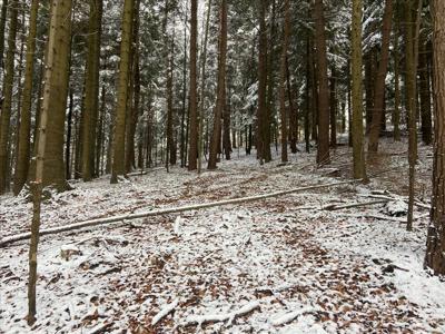 Działka na sprzedaż, Sanocki, Mokre