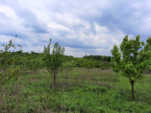 Działka budowlana Rogoźnik