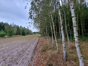 Działka rolno-budowlana Ujazd