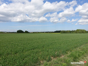 Skoczów Pruchna 1,15ha pod zabudowe jednorodzinną stadnine koni