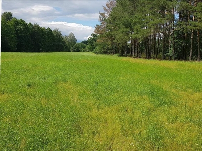 Działka na sprzedaż, Wołomiński, Radzymin gm, Łosie