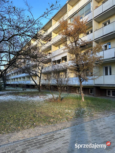 Mieszkanie 48m2 3 pokojowe Poznań