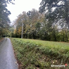 Działka budowlana 4 km od Kłodzka - 8 ar