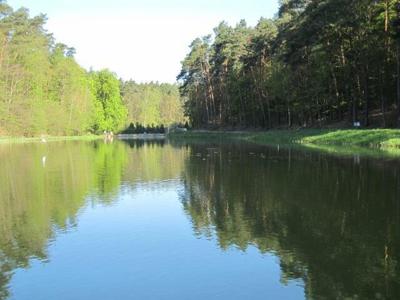 Działka z linią brzegową