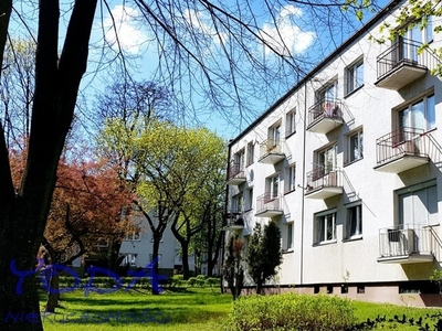 Mieszkanie Katowice Koszutka, ul. Brzozowa