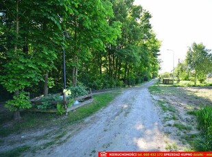 Działka rolno-budowlana bezpośrednio przy lesie.