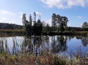 urokliwe siedlisko - działki od 3000m2 do 25,6 ha