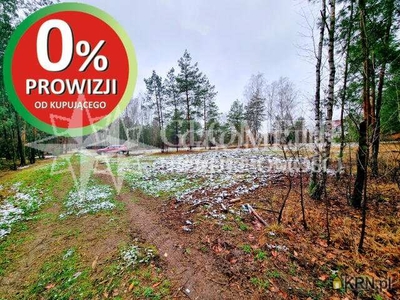 Działki, Chotomów