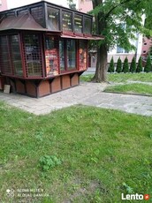 wynajmę kiosk pod działalność ,warzywniak , usługi kurierski