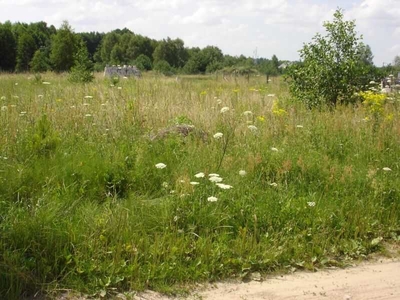 Ciasne, 870m2, działka budowlana, warunki zabudowy