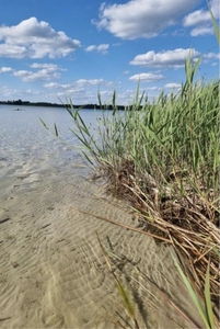 Działka 1003 m2 - Mazury, Brajniki, gm. Jedwabno/ Warchały, Narty/